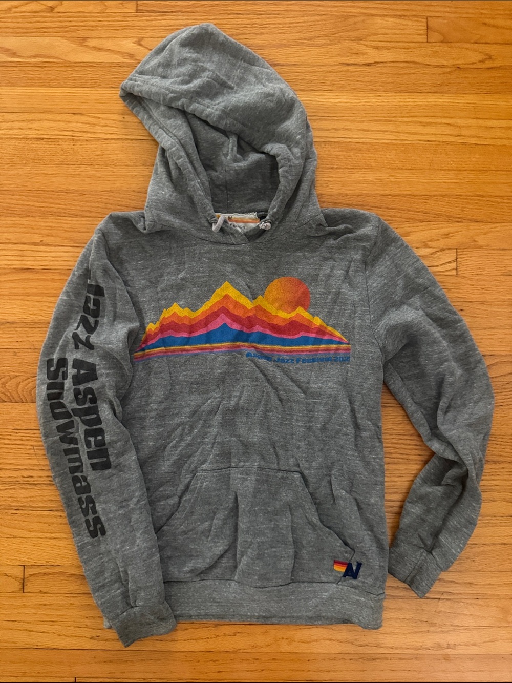 Aviator Nation Gray Aspen Jazz Festival 2021 Hoodie